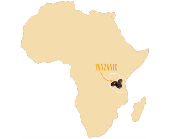 Tanzanie et café